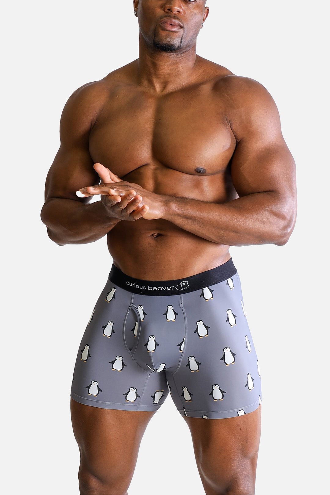 Men's Boxer Briefs - Penguins